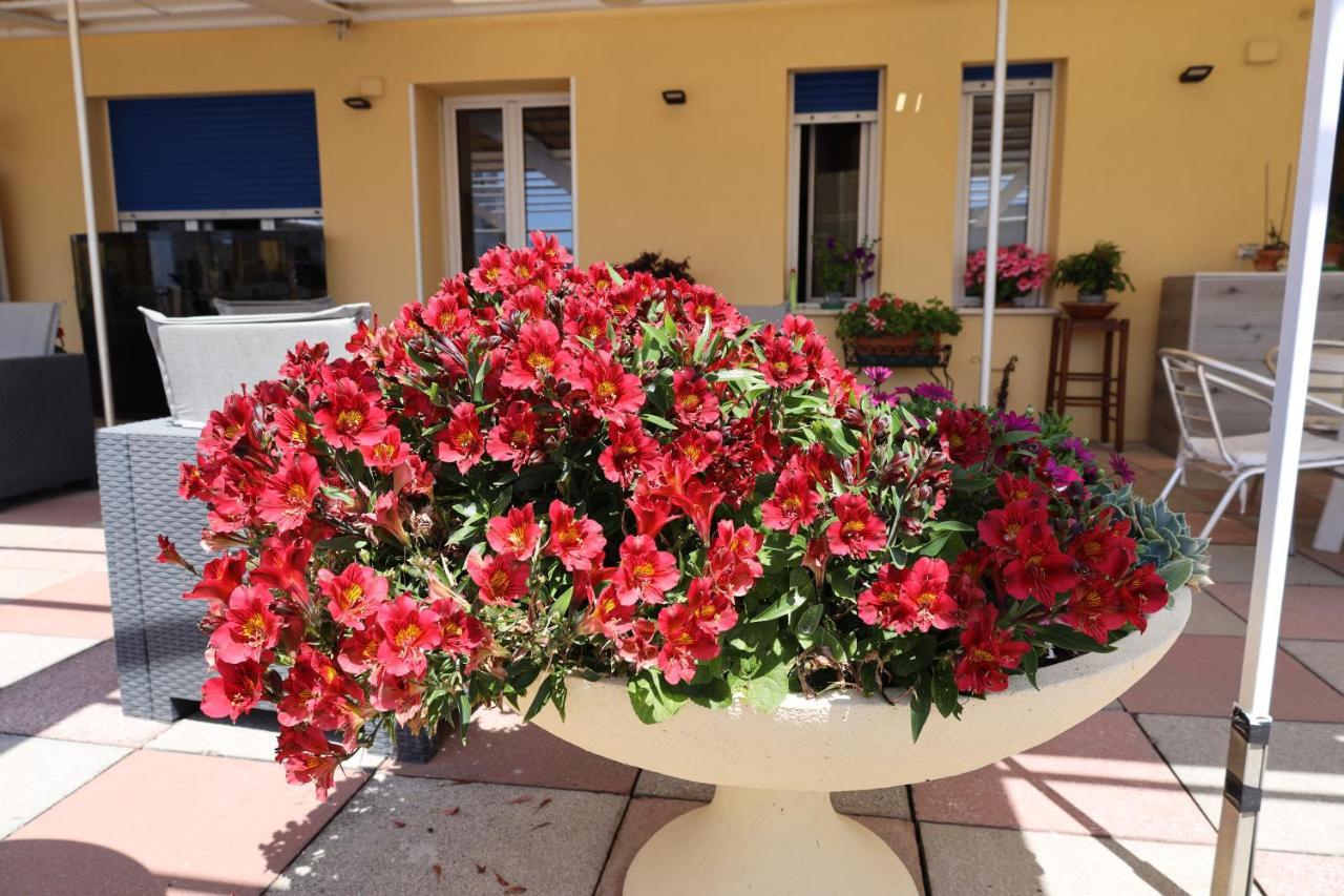 Albergo Stella Di Mare Lavagna Kültér fotó